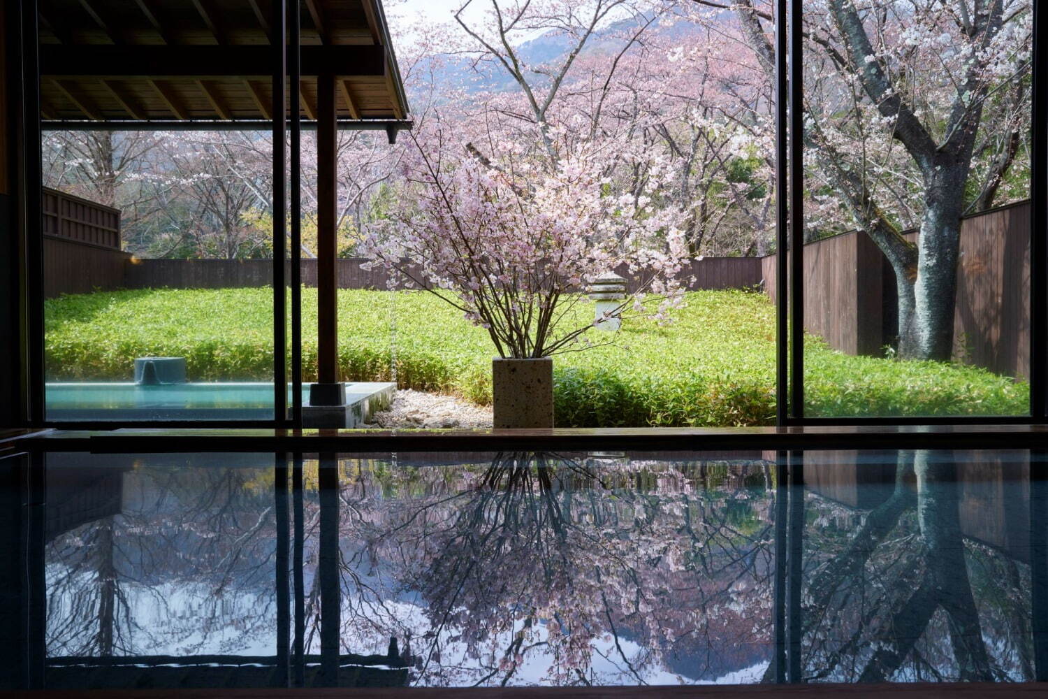 星野リゾートの温泉旅館「界 鬼怒川」桜に囲まれた温泉＆テラス貸切の滞在プランで花見を堪能｜写真5