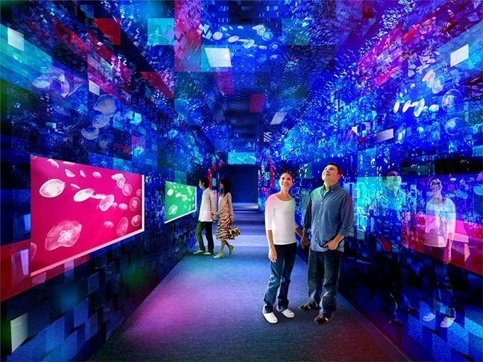 東京・すみだ水族館の煌めくクラゲ万華鏡トンネルが常設に - 大水槽の