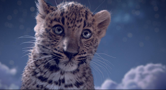 【動画】カルティエが贈るXmasのショートフィルム - パリ上空で戯れる2匹のパンテール｜写真2