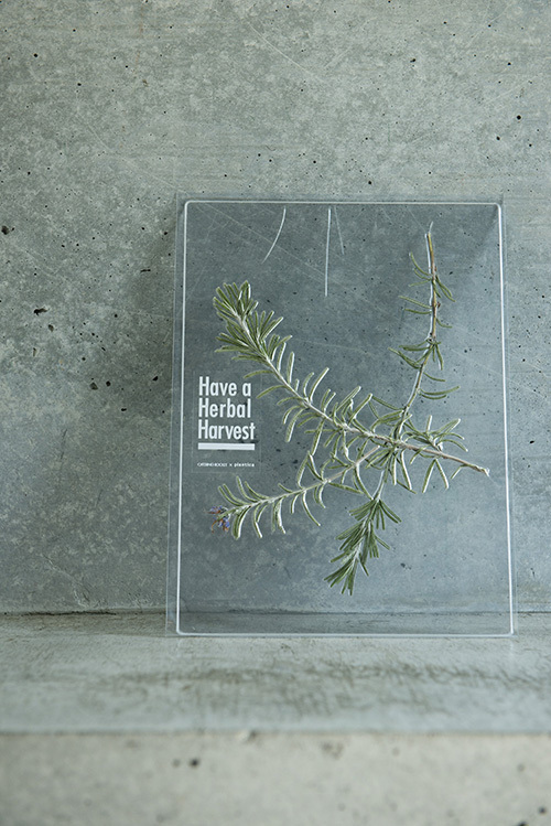 美しいハーブティー「Have a Herbal Harvest」展示販売が原宿で開催｜写真9