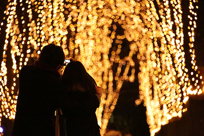 「2016 SENDAI光のページェント」仙台・定禅寺通で開催 - 160本のケヤキ並木が光の世界に｜写真5