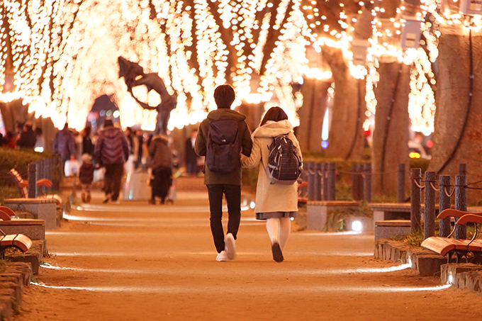 「2016 SENDAI光のページェント」仙台・定禅寺通で開催 - 160本のケヤキ並木が光の世界に｜写真6