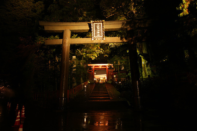 「ライトアップ日光2015」開催 - 世界文化遺産の“日光の社寺”を夜間に照明で彩る｜写真13