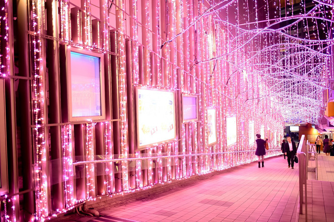 「新宿テラスシティ イルミネーション」新宿駅周辺を‟桜色”で染め上げる｜写真2