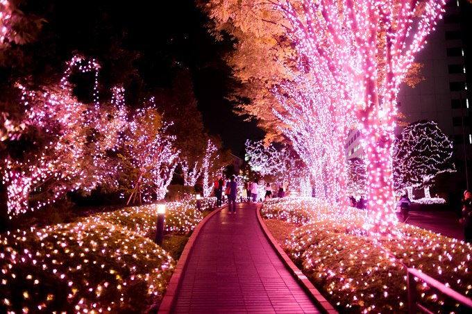 「新宿テラスシティ イルミネーション」新宿駅周辺を‟桜色”で染め上げる｜写真4