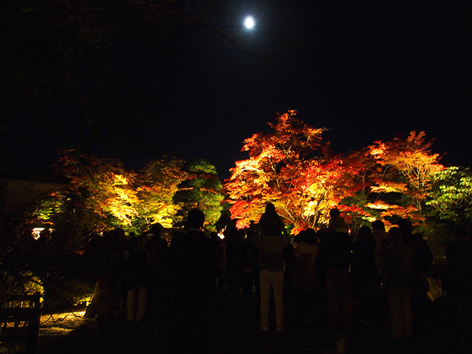 世界遺産・日光山輪王寺「逍遥園」の紅葉ライトアップ - 一足先にベストシーズン到来｜写真5