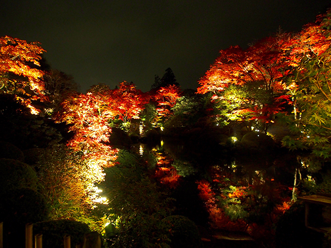 世界遺産・日光山輪王寺「逍遥園」の紅葉ライトアップ - 一足先にベストシーズン到来｜写真6