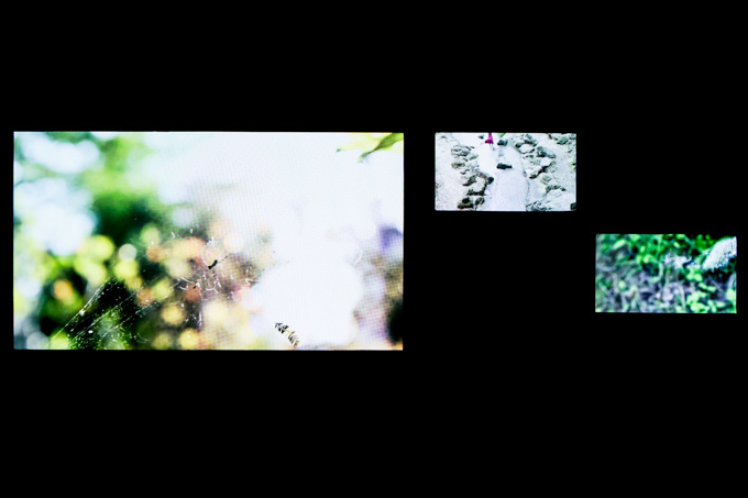グッチ新宿で写真家・川内倫子の展覧会開催 - 映像インスタレーションや写真作品など｜写真12