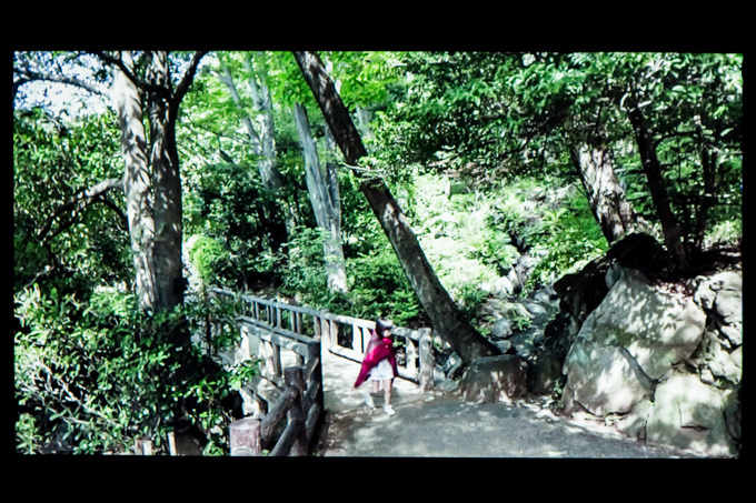 グッチ新宿で写真家・川内倫子の展覧会開催 - 映像インスタレーションや写真作品など｜写真16