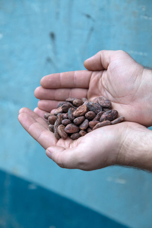 ブルーボトルコーヒー(BLUE BOTTLE COFFEE) ディック・テイラー｜写真2