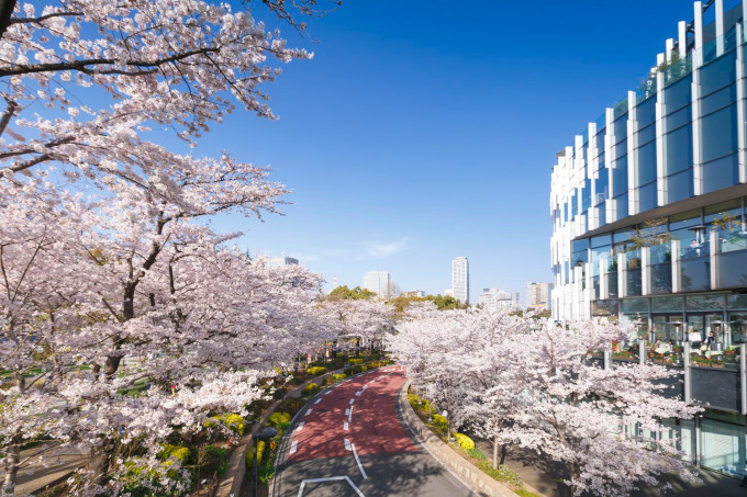 東京ミッドタウンの花見イベント「ミッドタウン・ブロッサム」お酒やスイーツが楽しめる屋外ラウンジも｜写真2