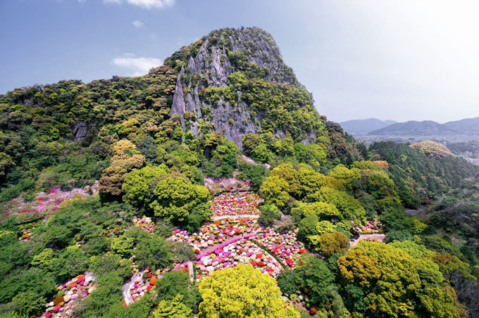 佐賀・御船山楽園「花まつり」春は2千本の桜・初夏はツツジと大藤が開花、九州最大規模のライトアップも｜写真13