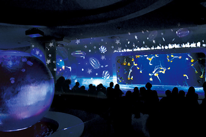 「ナイトワンダーアクアリウム2016」新江ノ島水族館を紹介 - 月光が照らす夜の海を体験｜写真111