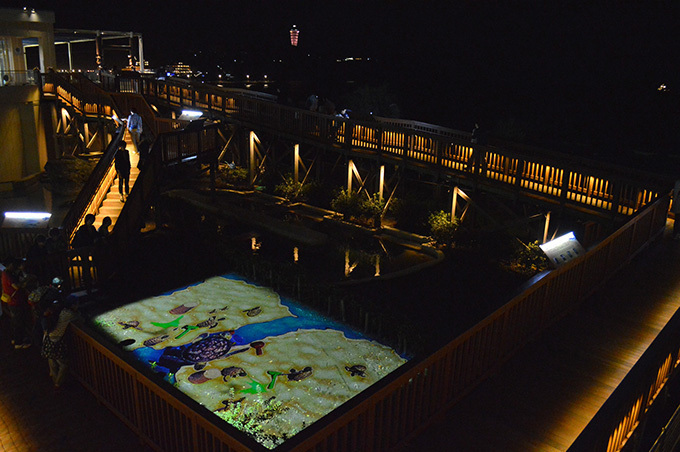 「ナイトワンダーアクアリウム2016」新江ノ島水族館を紹介 - 月光が照らす夜の海を体験｜写真113