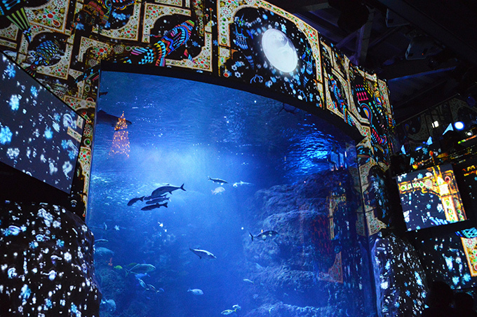 ナイトワンダーアクアリウム16 新江ノ島水族館を紹介 月光が照らす夜の海を体験 ファッションプレス