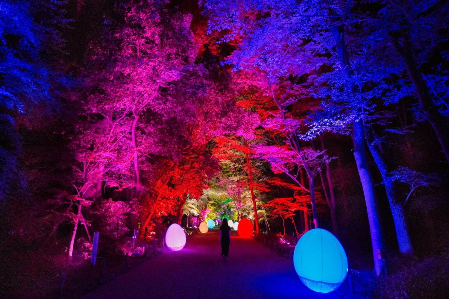 京都・下鴨神社で「光の祭」チームラボが参道＆神社を光と音の幻想空間に変える｜写真6