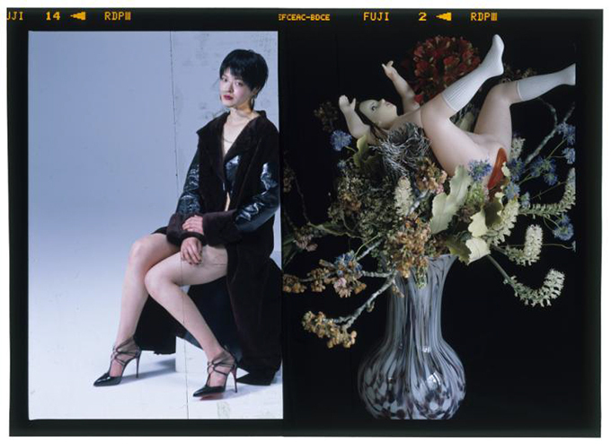 mame × 写真家・荒木経惟、「アラマメ」の作品を銀座で展示＆販売  | 写真