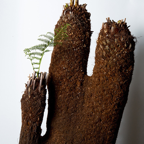 西畠清順の展覧会「ウルトラ植物博覧会」銀座で開催 - 世界中の希少植物が集結｜写真7