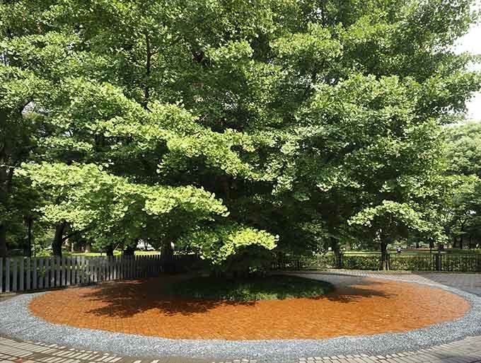 「木々との対話―-再生をめぐる5つの風景」展が東京都美術館で開催 - 草花や幻獣の木彫による幻想世界｜写真6