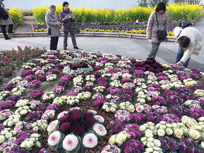 花と緑のテーマパーク「うめきたガーデン」、2万本が咲き誇る"チューリップ祭”開催｜写真4