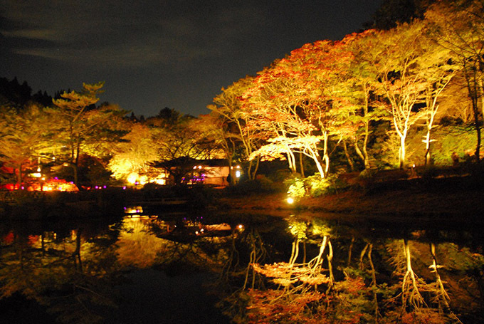 神戸・六甲高山植物園の紅葉ライトアップ「夜の紅葉散策