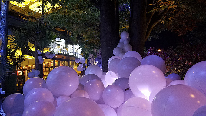 代官山T-SITE・蔦屋書店、植物とバルーンアートによるライトアップ＆クリスマスマーケット開催｜写真4