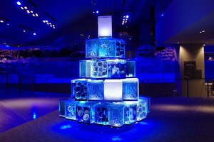 すみだ水族館の クラゲと恋するクリスマス 雪の結晶型クラゲが舞う 東京クラゲツリー ファッションプレス