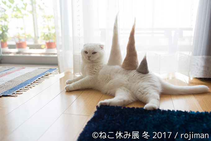 「ねこ休み展 冬 2017」東京・浅草橋で - 猫の日限定の“猫似顔絵”企画も｜写真12