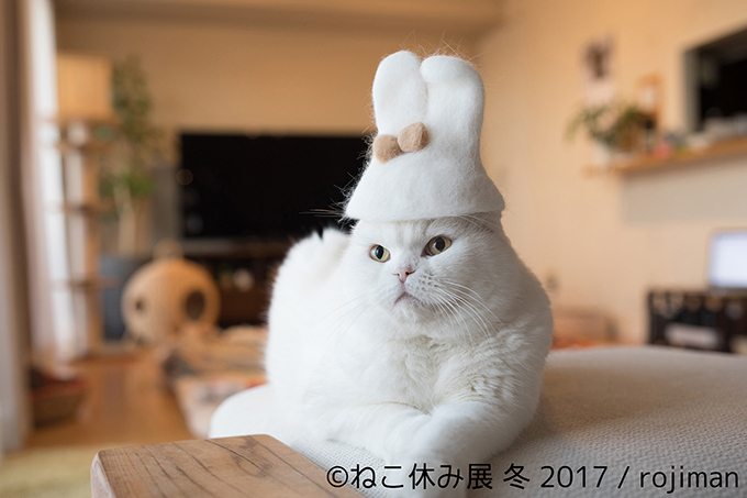 「ねこ休み展 冬 2017」東京・浅草橋で - 猫の日限定の“猫似顔絵”企画も｜写真13