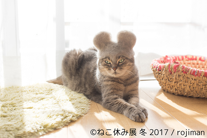 「ねこ休み展 冬 2017」東京・浅草橋で - 猫の日限定の“猫似顔絵”企画も｜写真14