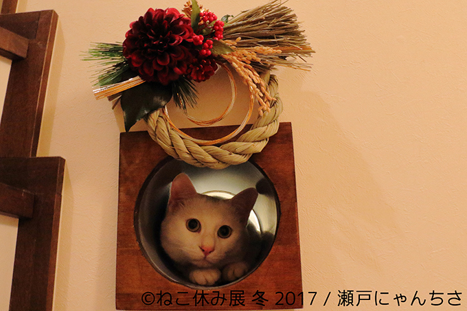 「ねこ休み展 冬 2017」東京・浅草橋で - 猫の日限定の“猫似顔絵”企画も｜写真18