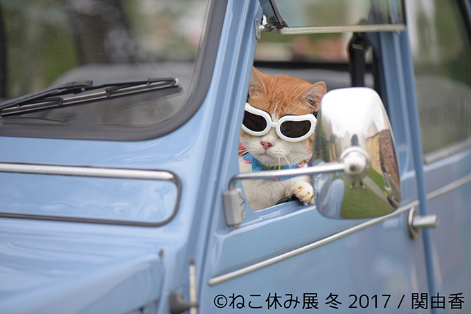 「ねこ休み展 冬 2017」東京・浅草橋で - 猫の日限定の“猫似顔絵”企画も｜写真20