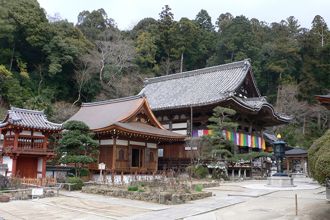 「春の特別拝観」京都や奈良などの寺院「西国三十三所」で - 興福寺の阿修羅像など秘宝公開、桜も見ごろ｜写真7