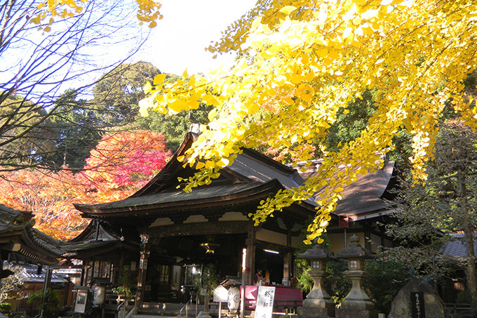 「春の特別拝観」京都や奈良などの寺院「西国三十三所」で - 興福寺の阿修羅像など秘宝公開、桜も見ごろ｜写真12