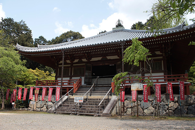 「春の特別拝観」京都や奈良などの寺院「西国三十三所」で - 興福寺の阿修羅像など秘宝公開、桜も見ごろ｜写真11