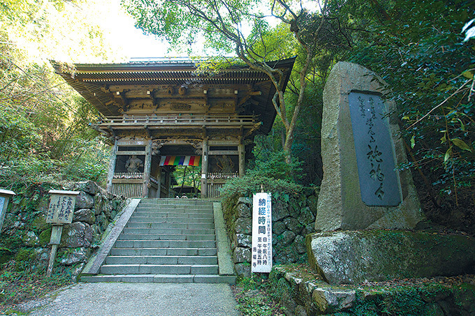 「春の特別拝観」京都や奈良などの寺院「西国三十三所」で - 興福寺の阿修羅像など秘宝公開、桜も見ごろ｜写真4