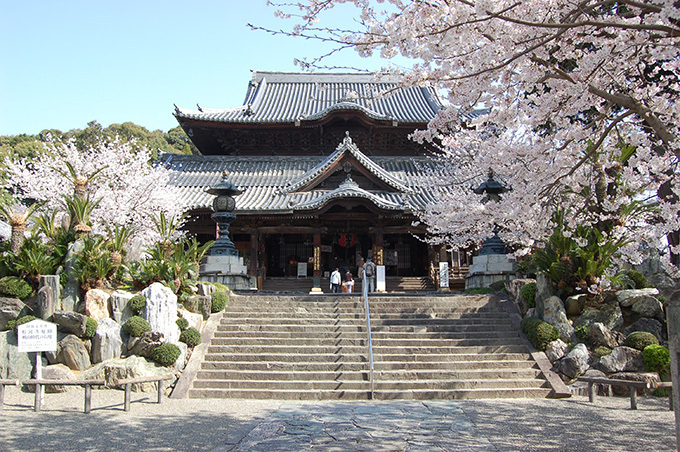 「春の特別拝観」京都や奈良などの寺院「西国三十三所」で - 興福寺の阿修羅像など秘宝公開、桜も見ごろ｜写真3