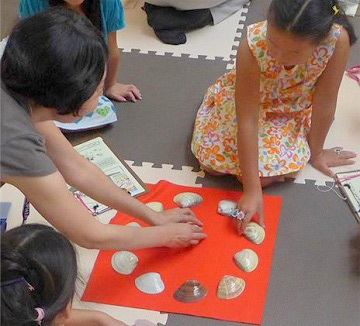 京都水族館×京都国立博物館「すいぞくかんとはくぶつかん」”夏の夜のすいぞくかん”もオープン｜写真13