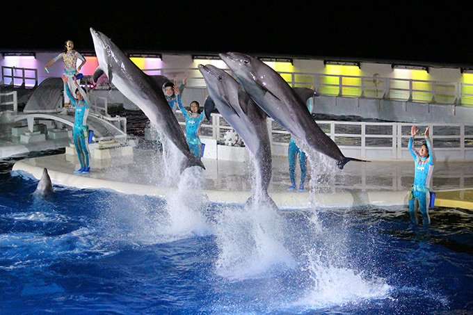 京都水族館×京都国立博物館「すいぞくかんとはくぶつかん」”夏の夜のすいぞくかん”もオープン｜写真2