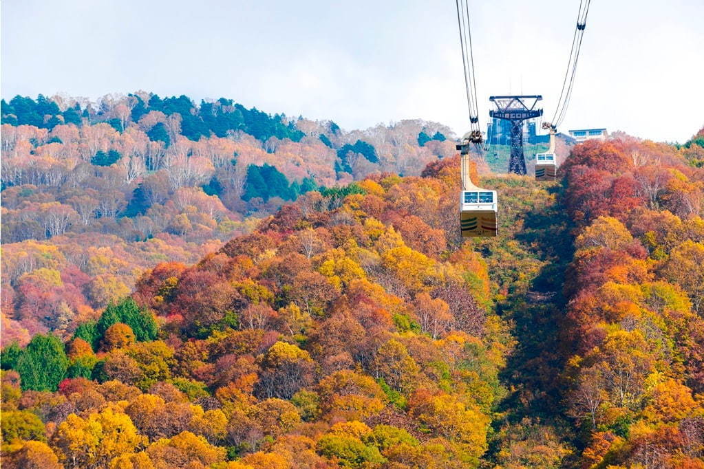 雲の上のカフェレストラン「ソラテラス カフェ」長野・竜王に、標高1,770m地点で星空も｜写真33