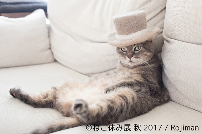 「ねこ休み展 秋 2017」名古屋で開催、スター猫たちの新作や限定グッズも｜写真10