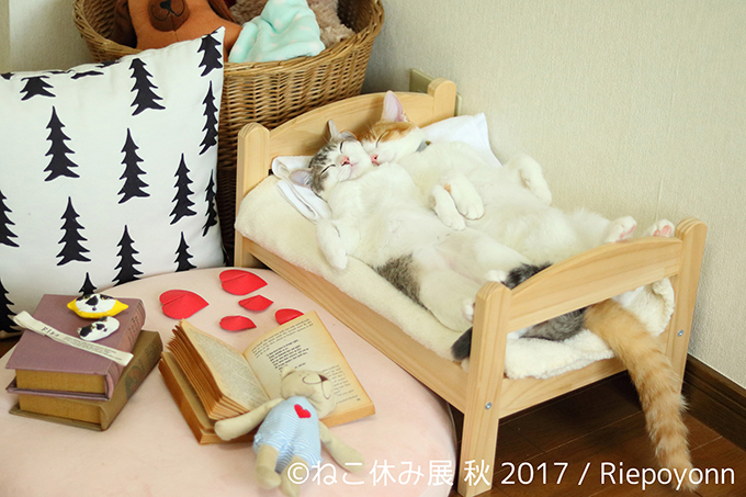 「ねこ休み展 秋 2017」名古屋で開催、スター猫たちの新作や限定グッズも｜写真15