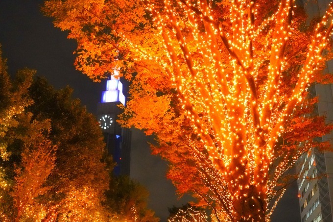 「新宿テラスシティ イルミネーション」新宿西口・南口エリアに、花がテーマのイルミネーション点灯｜写真9