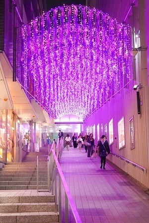 新宿テラスシティ イルミネーション 新宿西口 南口エリアに 花がテーマのイルミネーション点灯 ファッションプレス