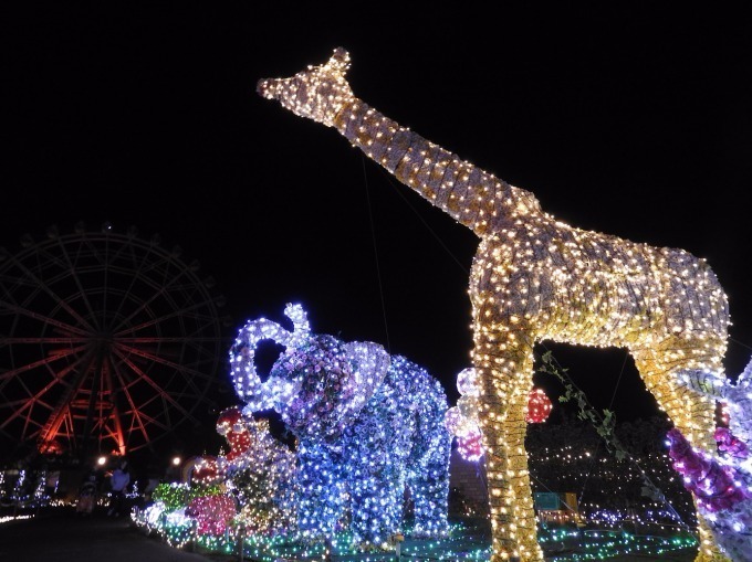 東武動物公園「ウインターイルミネーション」リズミカルなイルミネーションで光のライブ空間を演出｜写真11