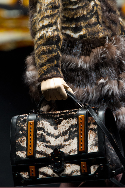 ロベルト カヴァリ(roberto cavalli) 2012-13年秋冬 ウィメンズコレクション  - 写真31