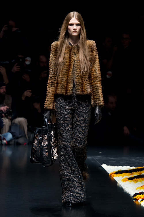 ロベルト カヴァリ(roberto cavalli) 2012-13年秋冬 ウィメンズコレクション  - 写真38