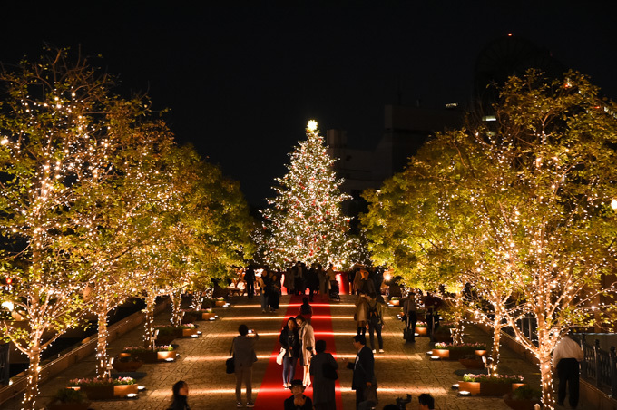 恵比寿ガーデンプレイスのクリスマス バカラの世界最大級シャンデリアや10mのクリスマスツリー ファッションプレス