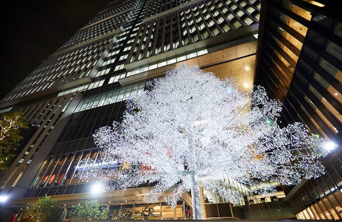 東京ガーデンテラス紀尾井町のイルミネーション - 箱根ガラスの森美術館コラボのクリスタルツリー｜写真1