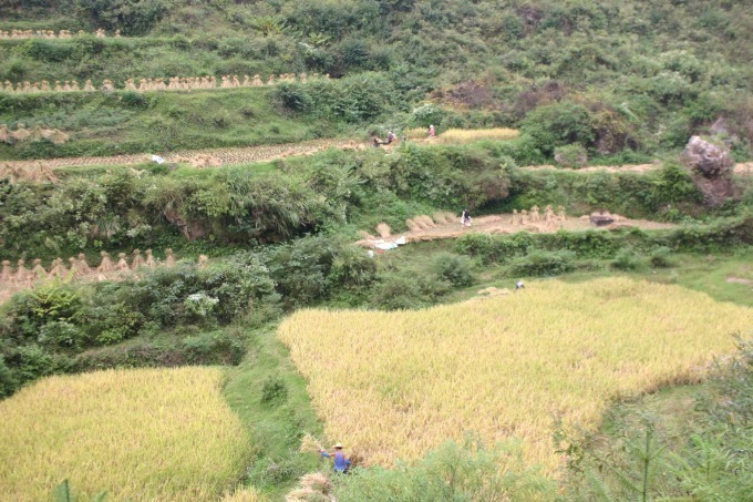 展覧会「ミャオ族の刺繍と暮らし展」中国の山岳に住む人々の美しい民族衣装と生活｜写真9